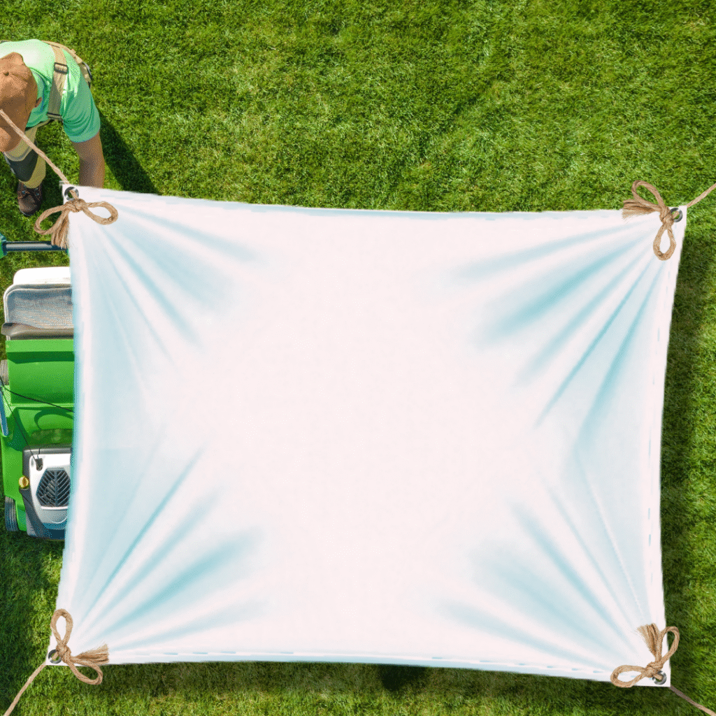 Tarp